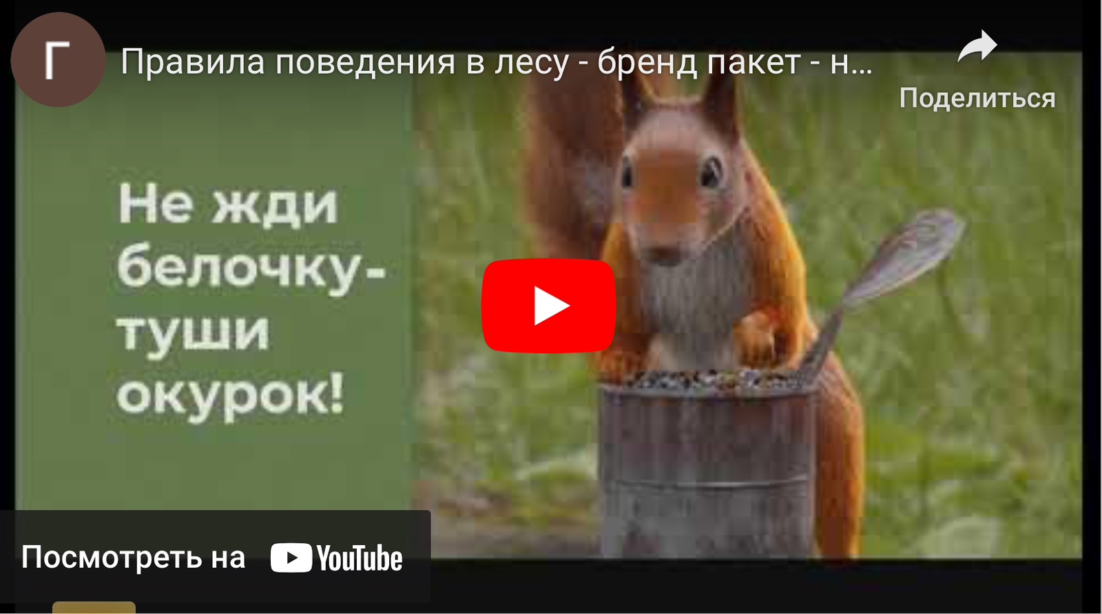 Смотреть